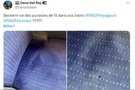 臭虫危机在多国蔓延，法国担忧奥运形象受损图片