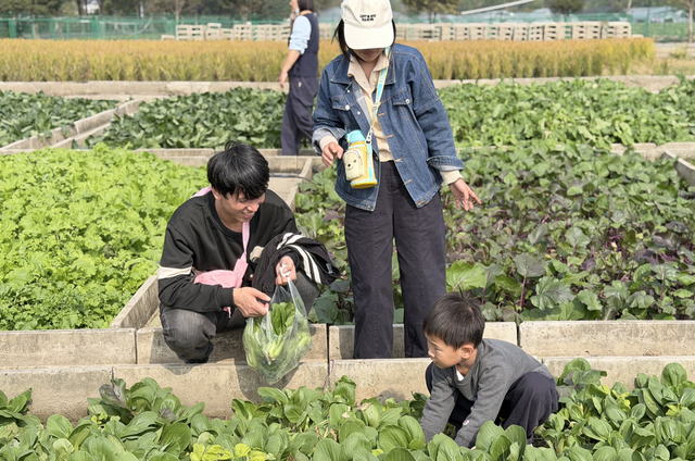 秋收分享会圆满举行！亲子组队，解锁田间趣味新体验～