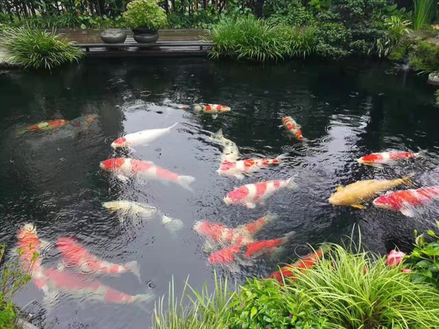 自驾行•游乡村｜济南线路推荐：槐荫、长清、平阴篇