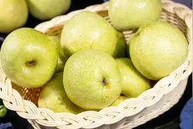 秋梨与梨味盛宴开启，品味自然馈赠的甘甜图片