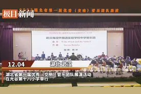 这所中学管乐团获湖北省一等奖图片