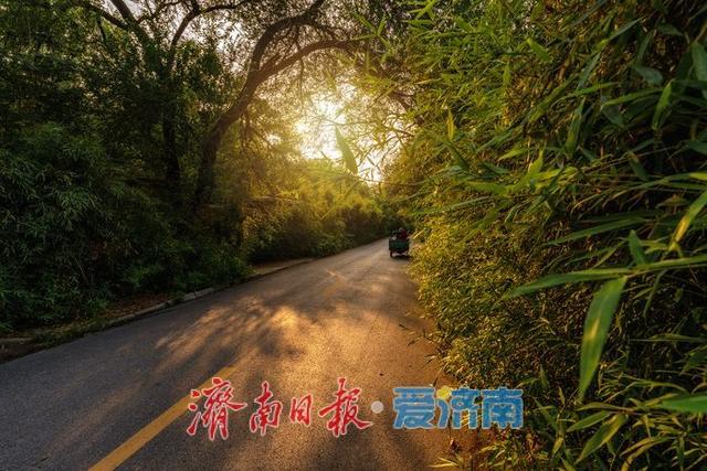 邂逅生态秘境！济南腊山湖公园藏着这样的绿意天地 | 一年四季 泉在济南