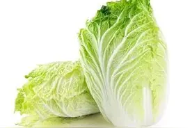 为什么说百菜不如白菜？图片