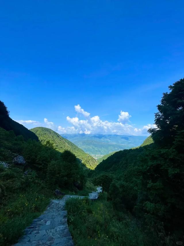 七夕,送TA一场凉山行
