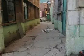 天津这处老厂房，迎来爆改！图片