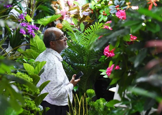 中国最魔幻的城市，“打包”全球