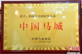 综述：“中国马城”为什么是包头?图片