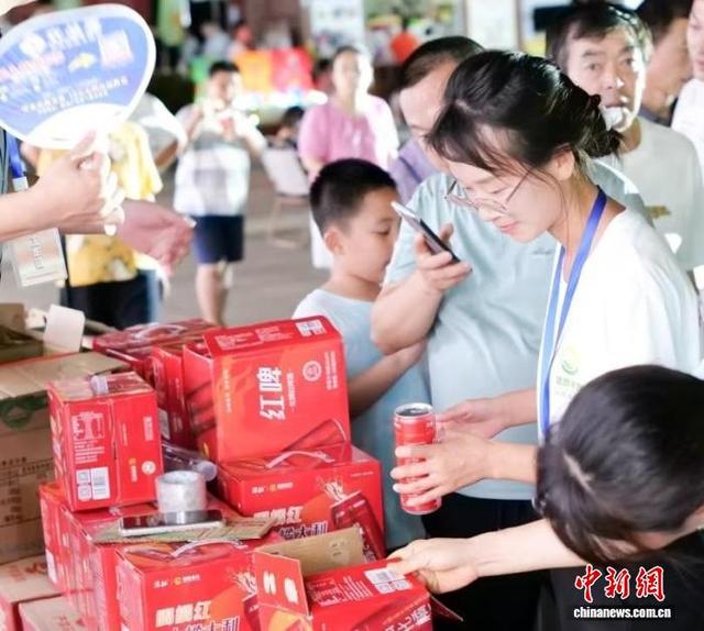 广东化州化橘红飘香四川仪陇  川粤协作双向奔赴