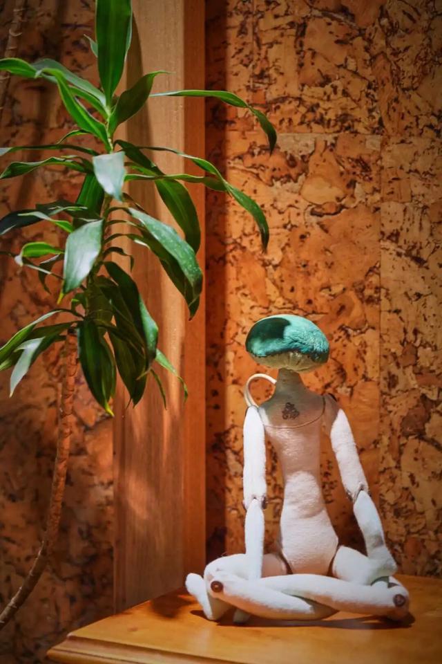 来东城这个胡同小院，邂逅蘑菇精灵的童话秘境——