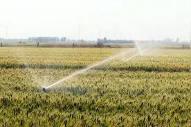 德州明年1月1日起执行农业生产分时电价图片
