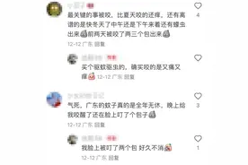 广东网友抓狂：这么冷的天，怎么它还在！图片