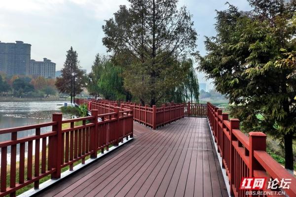 圭塘河生态公园：时光漫过木栈道，城与自然撞满怀