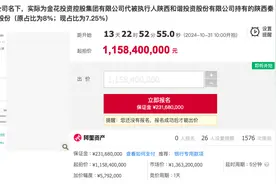 罕见！秦农银行6.4亿股股权加价近七成再次法拍，发生了什么？图片