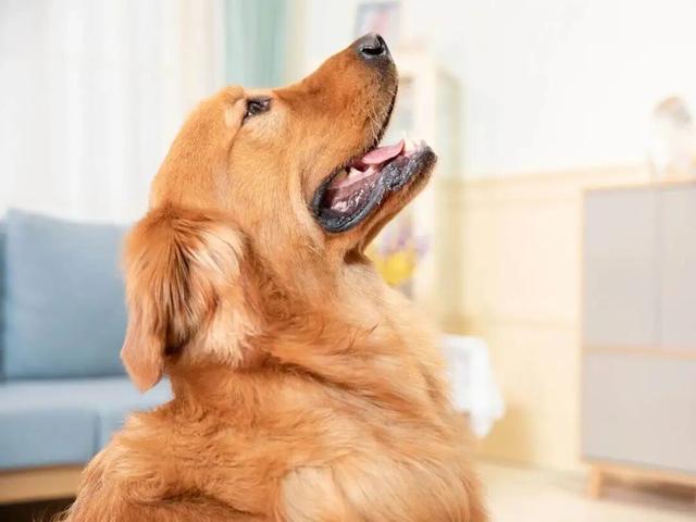 近百场活动！“十一”假期，会玩的人都往翔安跑！