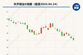 深度解读天齐锂业一季度业绩爆雷：关键锂矿股权占比低 主要的锂盐加工厂大面积亏损图片
