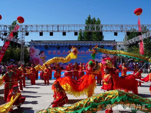 芍药花正开·相约开干齐｜奎屯市第五届芍药花文化旅游活动，邀你赴约！