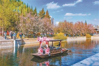 北京推出10条品质赏花主题线路