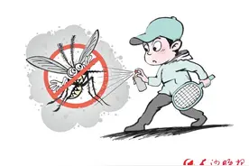 蚊子叮咬，警惕蚊媒传染病！图片