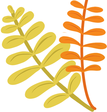 跟着主播赏花海、尝美味…还有超多福利