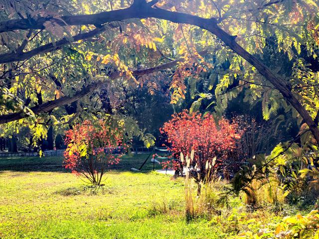 万里无云，阳光正好！周末到公园欣赏北京的秋