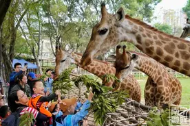 多家景区宣布：免门票！优惠！图片