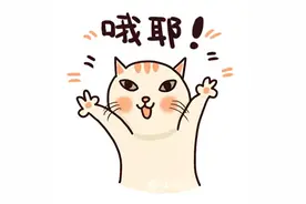 最高可享1.5万元购车补贴！厦门市2025年汽车置换更新补贴开启申请→图片