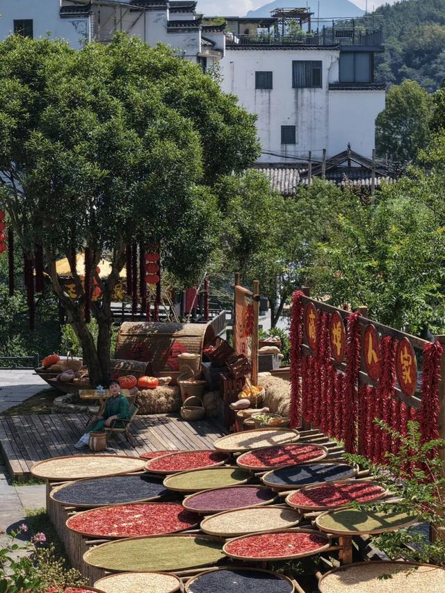 “马”上出发！上饶这些景区为你准备了专属惊喜~