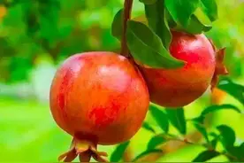 陈辉‖一次死里逃生的经历图片