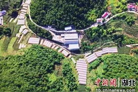 硒土为墨 田埂为尺 湖北宣恩深化耕地保护改革图片