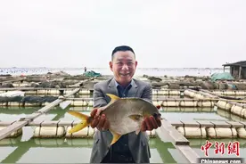 （乡村行·看振兴）福建东山：养好“黄金鱼”  共绘“鲳”盛景图片