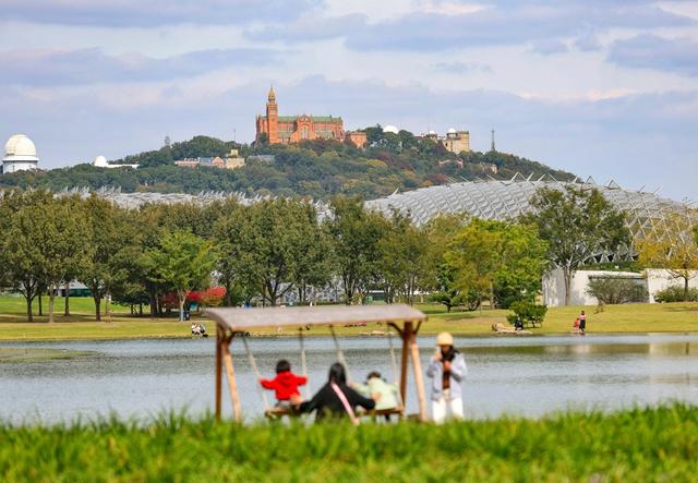 快收藏！辰山植物园红黄橙交织的秋日画卷