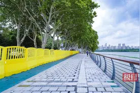 你好！静雅素朴的书香道！世界级武汉东湖绿道6月25日画圆贯通图片