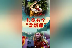 这个“六一”，遇见长春“雪饼猴”图片