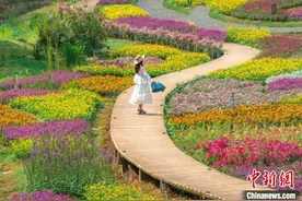 广州从化推动农文旅融合发展 “迎全运”旅游团启程图片