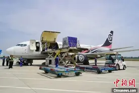 国内首条芍药鲜切花全货机航线通航图片