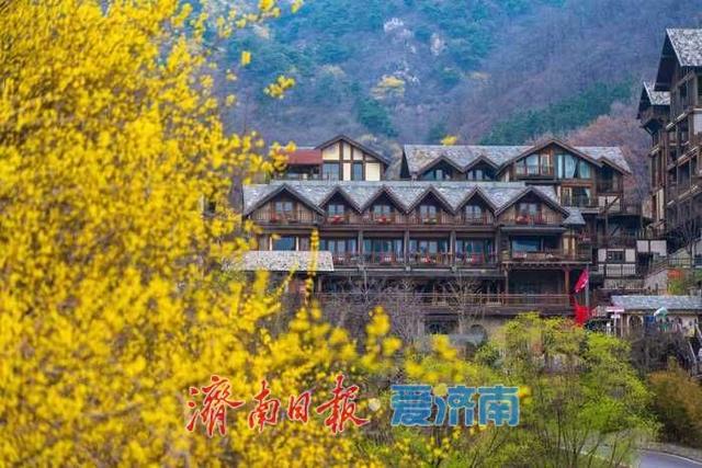 藏在济南的春日秘境！九如山繁花漫卷，解锁泉城踏青新方式