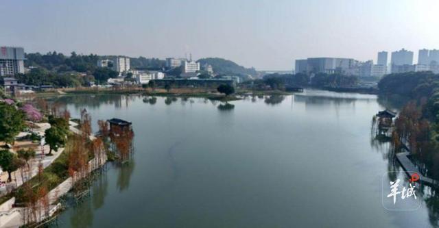 广州已建成碧道1456公里，绿意蓝调间畅享清凉夏日
