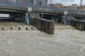 深读｜台风过后，“逢雨易涝”的中山三乡有什么不一样？图片