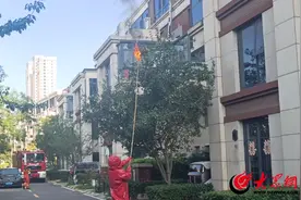 马蜂扰民，消防员帮忙摘除蜂窝除隐患图片