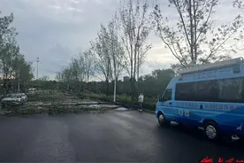 青岛西海岸新区红石崖街道：“快办、实办、优办” 书写群众满意的“接诉即办”民生答卷图片