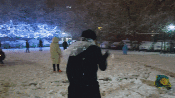 谁说冬天只有白色！快来解锁冀南新区冬日色彩