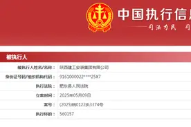 陕建安装集团成被执行人，所涉金额1776.24万元图片