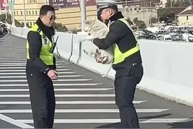 警察将小狗轻轻抱起图片