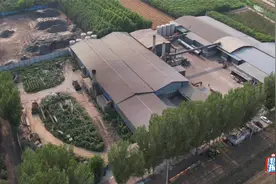 危废污泥变身有机肥原材料 危废处置关口为何会层层失守？图片