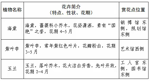 春天的请柬已送达！2026莱芜赏花地图“新鲜出炉”