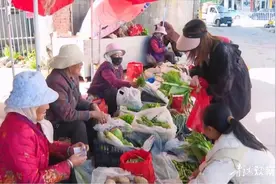 乡村蔬菜热销县城 绿色健康大受“追捧”图片