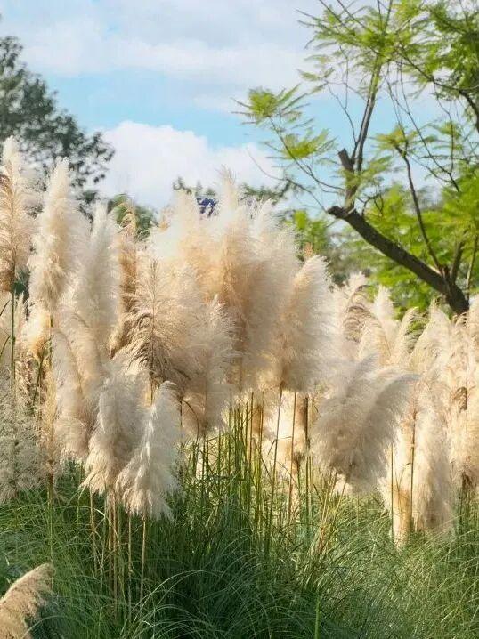 秋日限定调色盘，快去打卡吧~