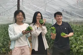 保定徐水区：美丽田园育景 农旅融合生金图片