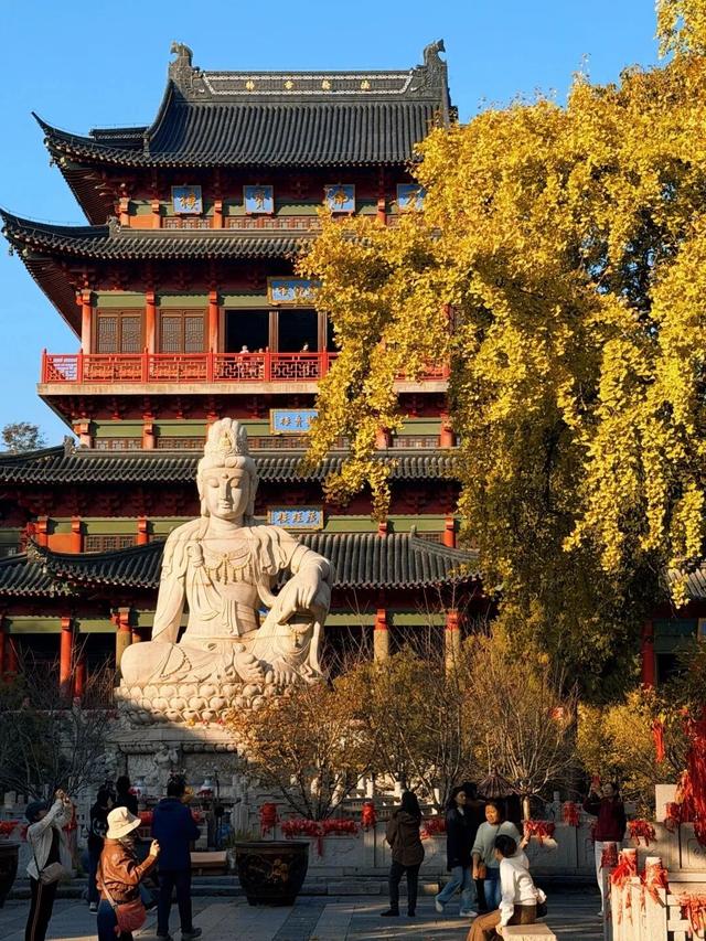 南京开始“下雪”了！