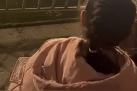 成都一黑熊表演时失控咬伤驯兽师？马戏团回应图片